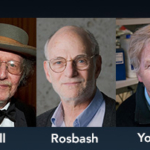 Trio delar på Nobelpriset i medicin – för kunskap kring vår “inre klocka”